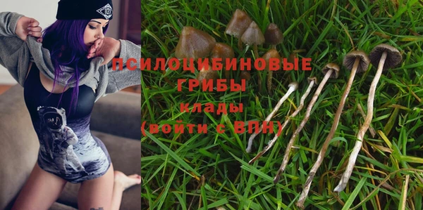 прущие грибы Куйбышев