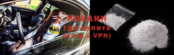 шишки Чегем