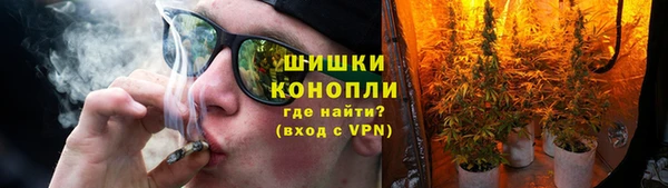 прущие грибы Куйбышев