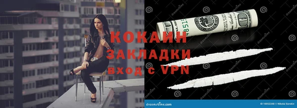 прущие грибы Куйбышев
