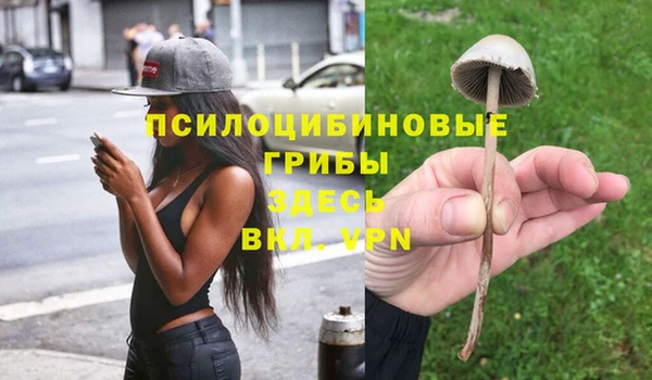 СК Тында