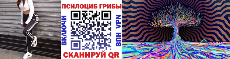 Псилоцибиновые грибы мухоморы  Кызыл 