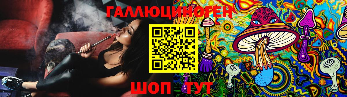 где продают   Псилоцибиновые грибы Magic Shrooms  Вход с VPN  Кызыл  Галлюциногенные грибы GOLDEN TEACHER 